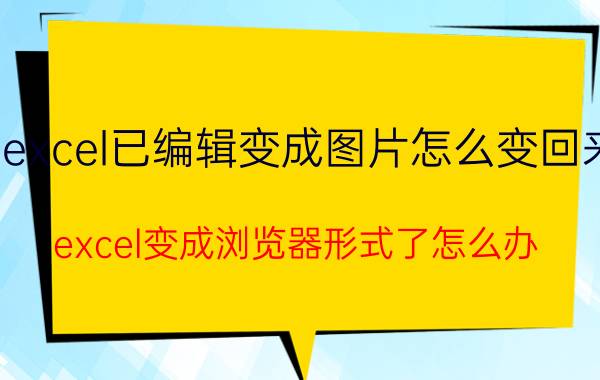 excel已编辑变成图片怎么变回来 excel变成浏览器形式了怎么办？